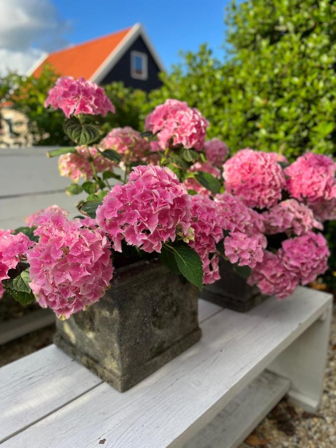 Maison Blakenburg Wissenkerke エクステリア 写真